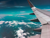 pexels-wanderer-731217.png